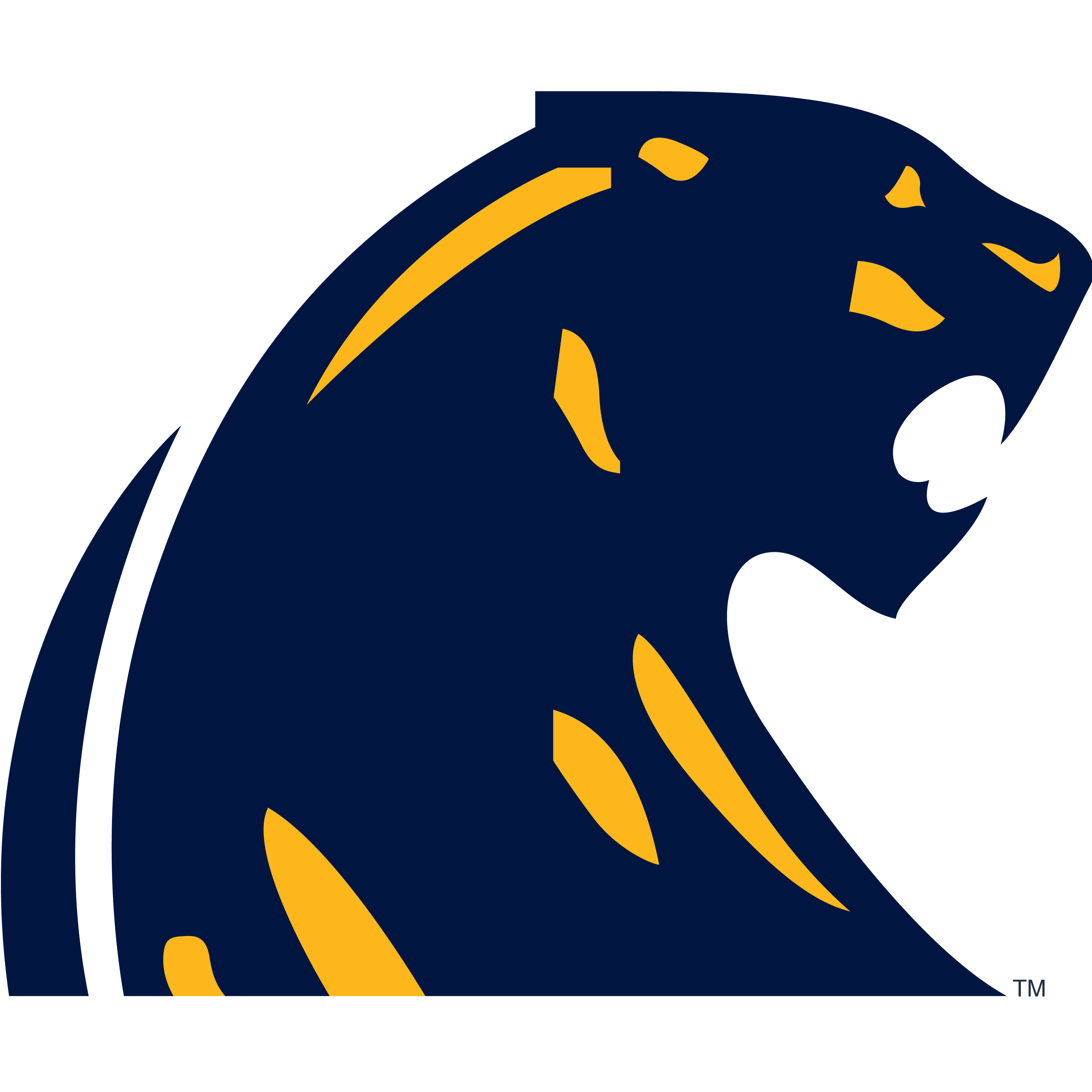 food-server-dewitt-public-schools