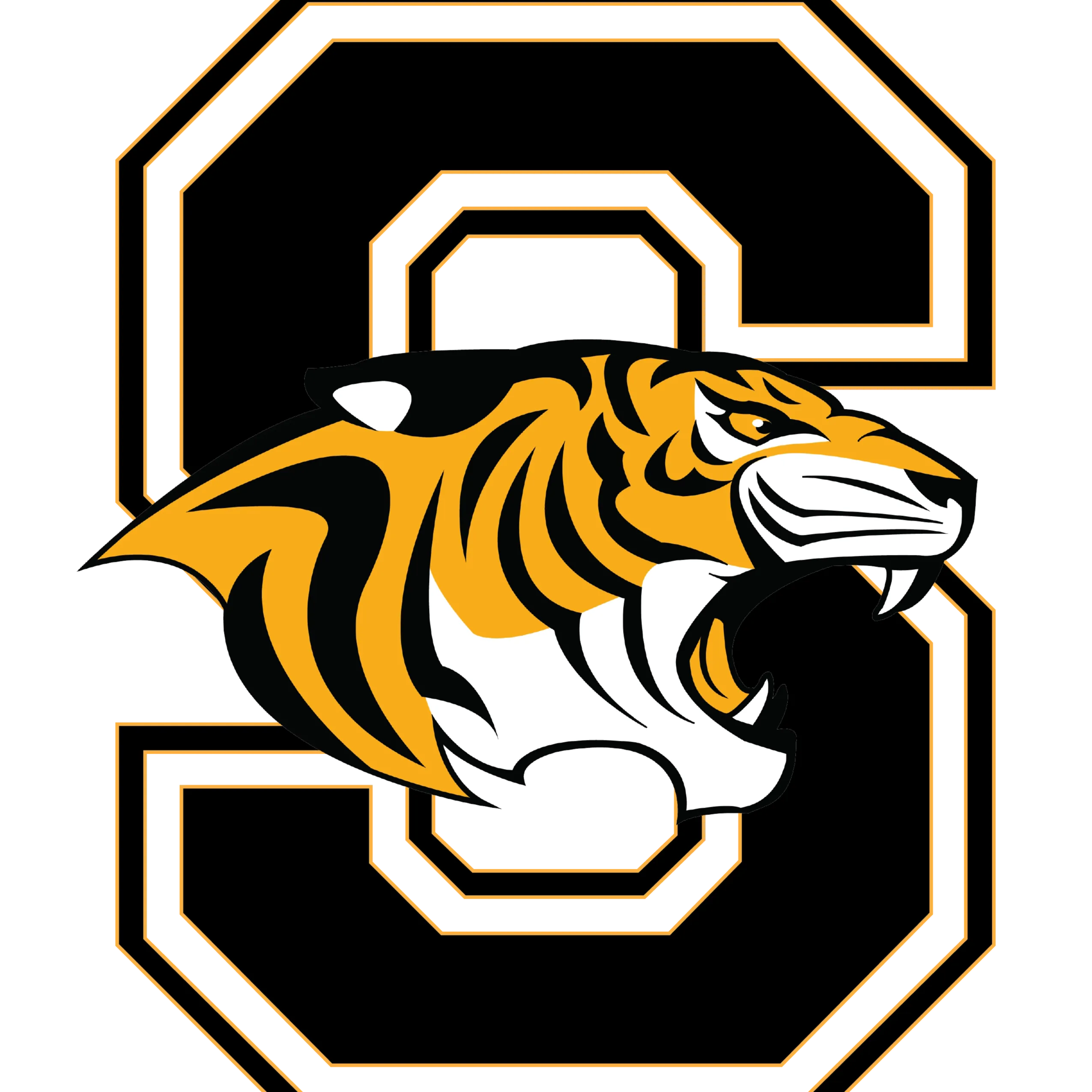 Snyder Isd